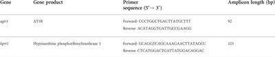 Regional and temporal progression of atrial remodeling in angiotensin II mediated atrial fibrillation